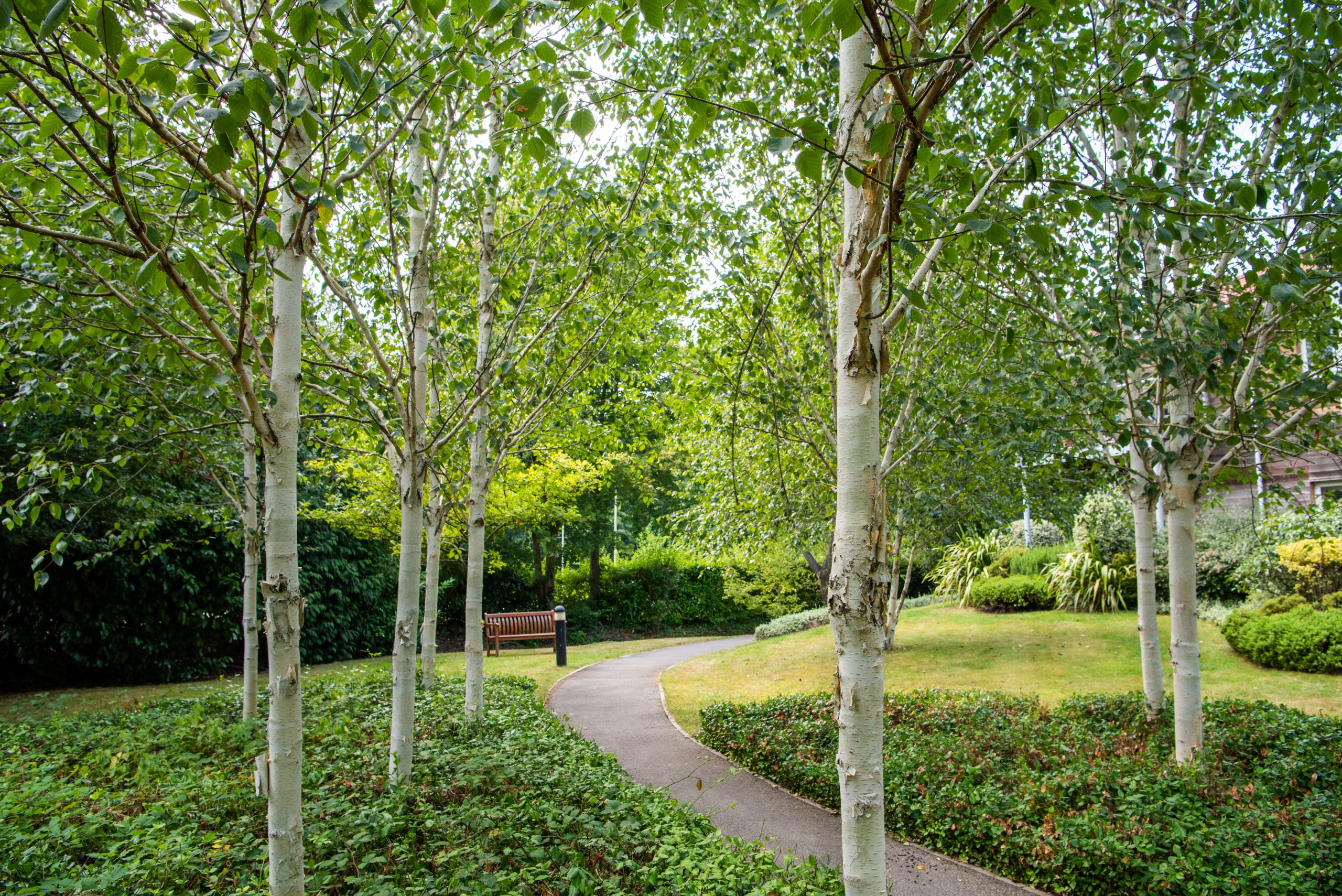Knightwood gardens and trees