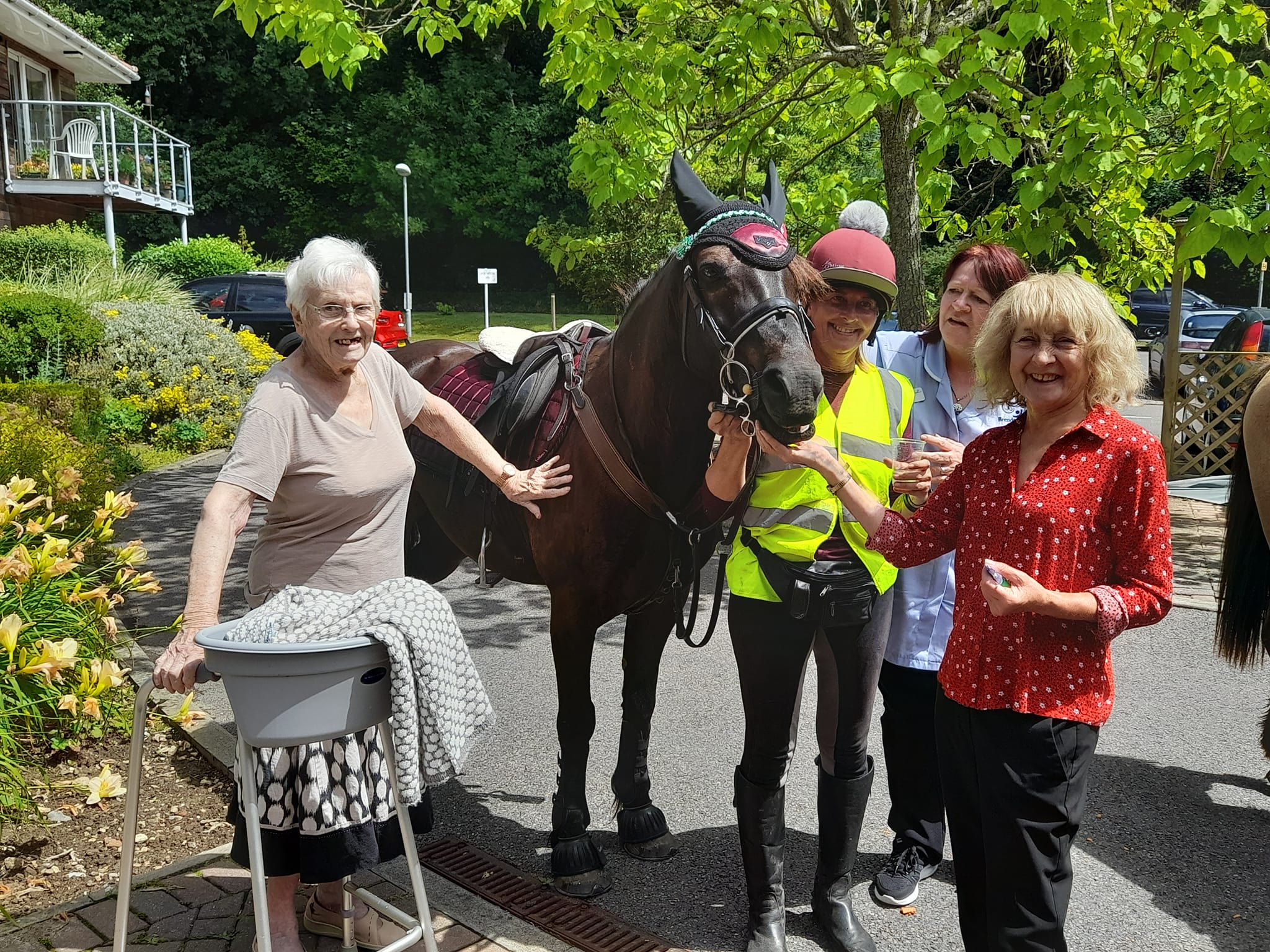 Knightwood community day, resident with horses