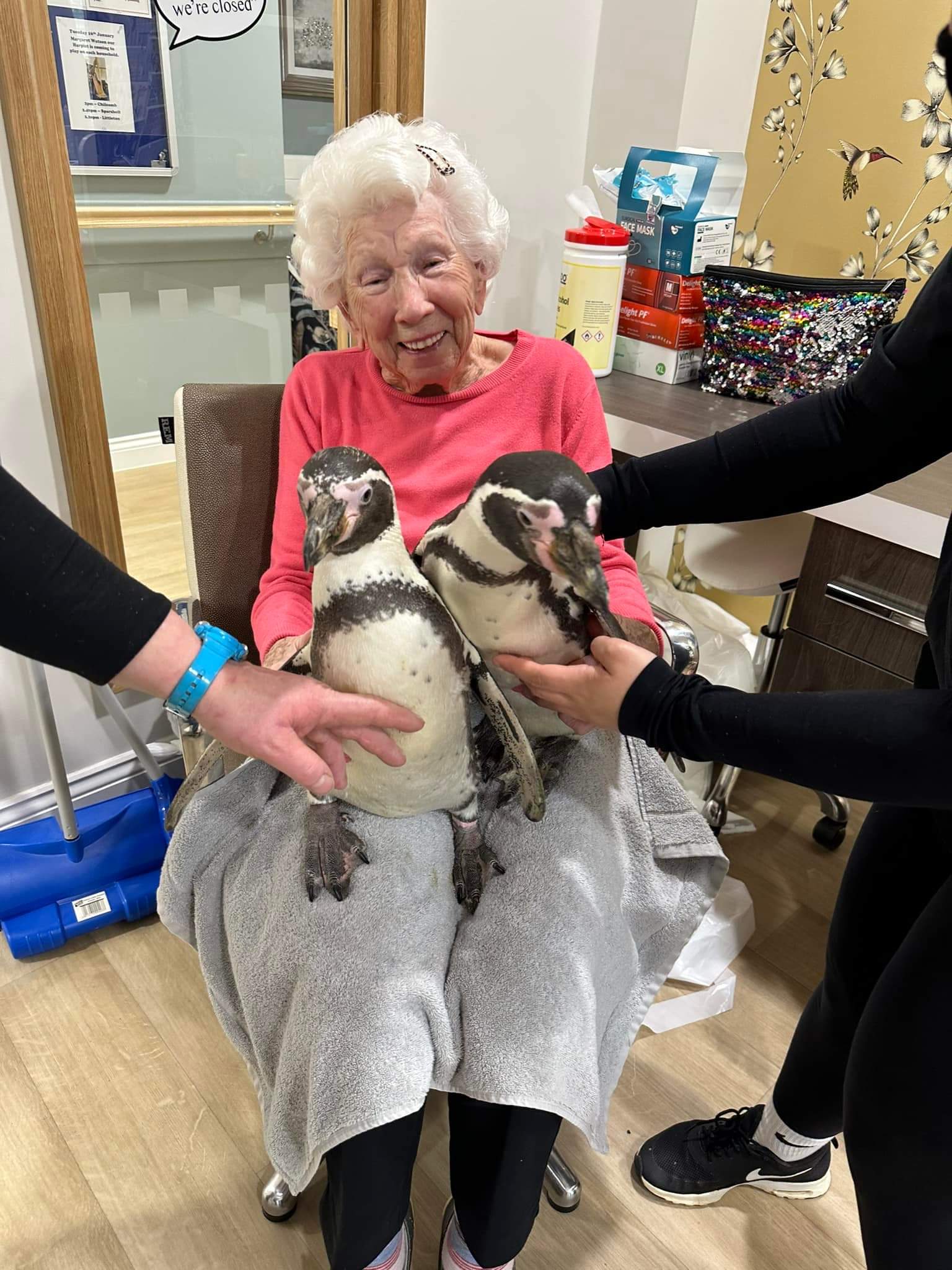 Feathered friends cause flutters of excitement at Brendoncare homes